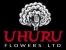 uhuru - flower exchange